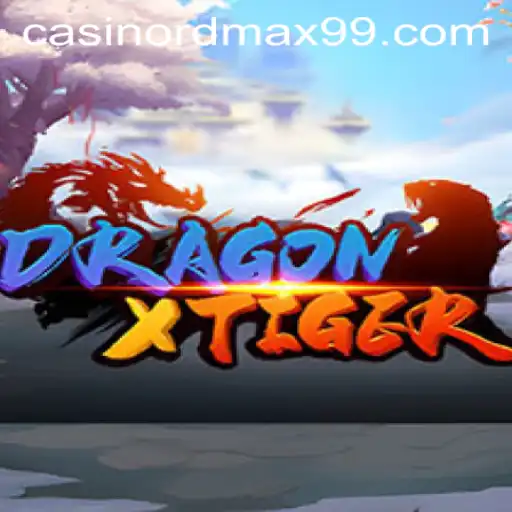 Exploring the Intriguing World of DragonXTiger: A Comprehensive Guide